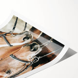 Farmhouse Wall Art - Two Horses Rustic Country Decor for Farmhouse Homes