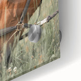 Farmhouse Horse Grazing Wall Art - Rustic Country Style Farmhouse Decor