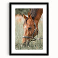 Farmhouse Horse Grazing Wall Art - Rustic Country Style Farmhouse Decor