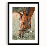 Farmhouse Horse Grazing Wall Art - Rustic Country Style Farmhouse Decor
