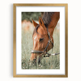 Farmhouse Horse Grazing Wall Art - Rustic Country Style Farmhouse Decor