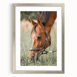 Farmhouse Horse Grazing Wall Art - Rustic Country Style Farmhouse Decor