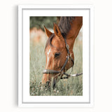 Farmhouse Horse Grazing Wall Art - Rustic Country Style Farmhouse Decor