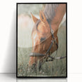 Farmhouse Horse Grazing Wall Art - Rustic Country Style Farmhouse Decor