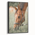 Farmhouse Horse Grazing Wall Art - Rustic Country Style Farmhouse Decor