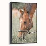 Farmhouse Horse Grazing Wall Art - Rustic Country Style Farmhouse Decor