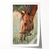 Farmhouse Horse Grazing Wall Art - Rustic Country Style Farmhouse Decor