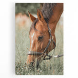 Farmhouse Horse Grazing Wall Art - Rustic Country Style Farmhouse Decor