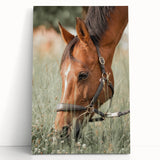 Farmhouse Horse Grazing Wall Art - Rustic Country Style Farmhouse Decor