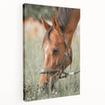 Farmhouse Horse Grazing Wall Art - Rustic Country Style Farmhouse Decor