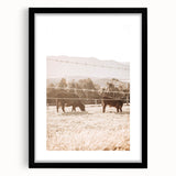 Farmhouse Cattle Grazing Wall Art - Rustic Country Style Decor
