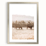 Farmhouse Cattle Grazing Wall Art - Rustic Country Style Decor