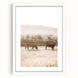 Farmhouse Cattle Grazing Wall Art - Rustic Country Style Decor