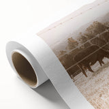 Farmhouse Cattle Grazing Wall Art - Rustic Country Style Decor