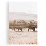 Farmhouse Cattle Grazing Wall Art - Rustic Country Style Decor