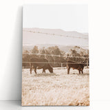 Farmhouse Cattle Grazing Wall Art - Rustic Country Style Decor