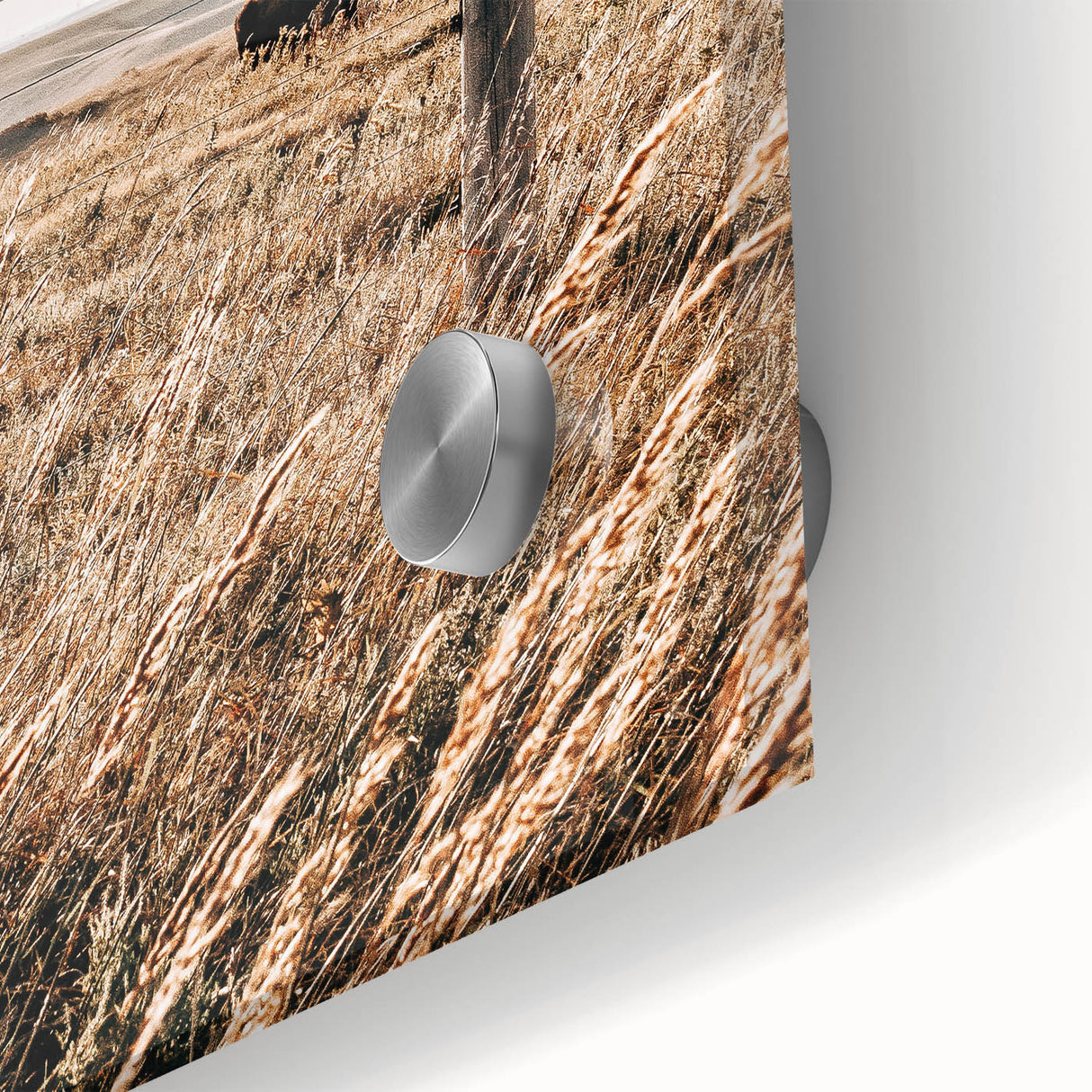 Rustic Farmhouse Buffalo Grazing Wall Art - Country Style Decor