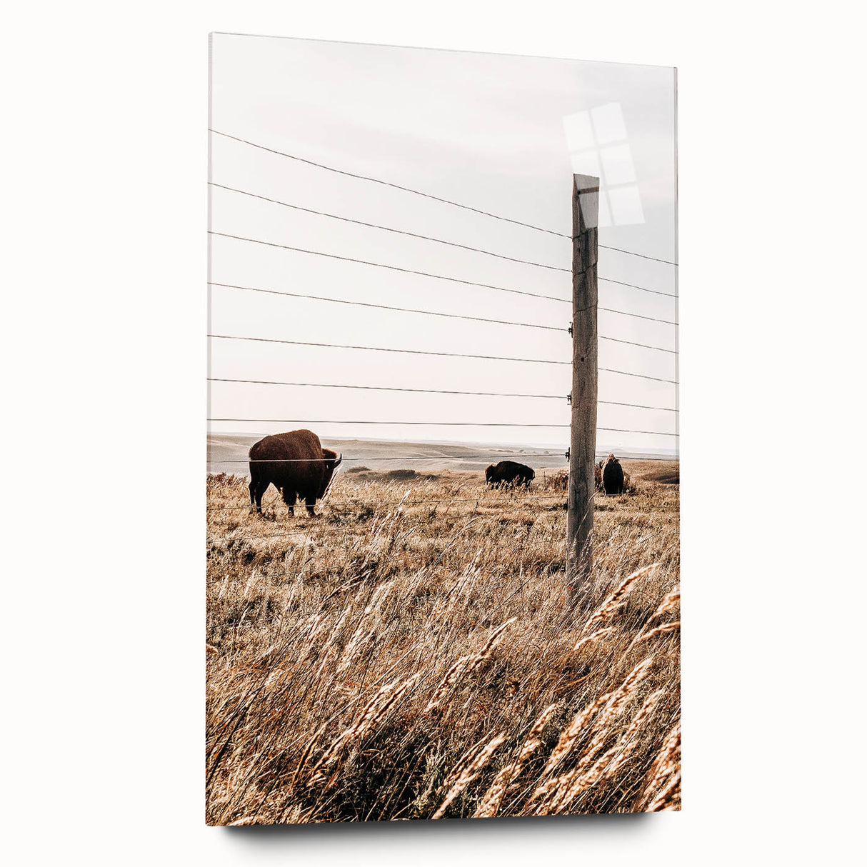 Rustic Farmhouse Buffalo Grazing Wall Art - Country Style Decor