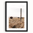Rustic Farmhouse Buffalo Grazing Wall Art - Country Style Decor