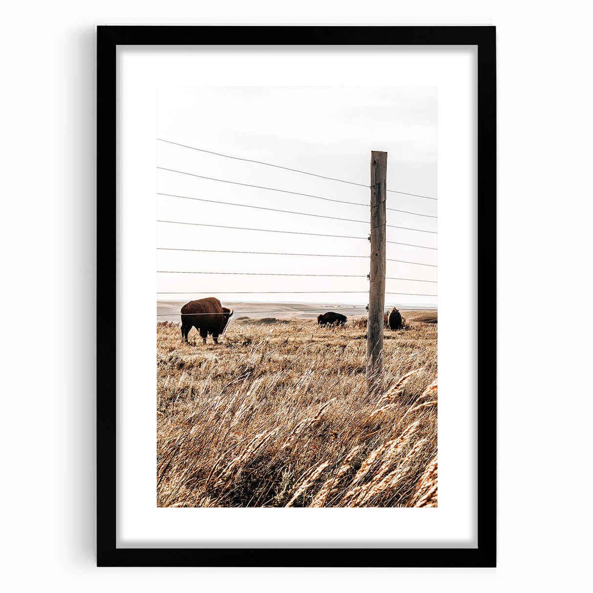 Rustic Farmhouse Buffalo Grazing Wall Art - Country Style Decor