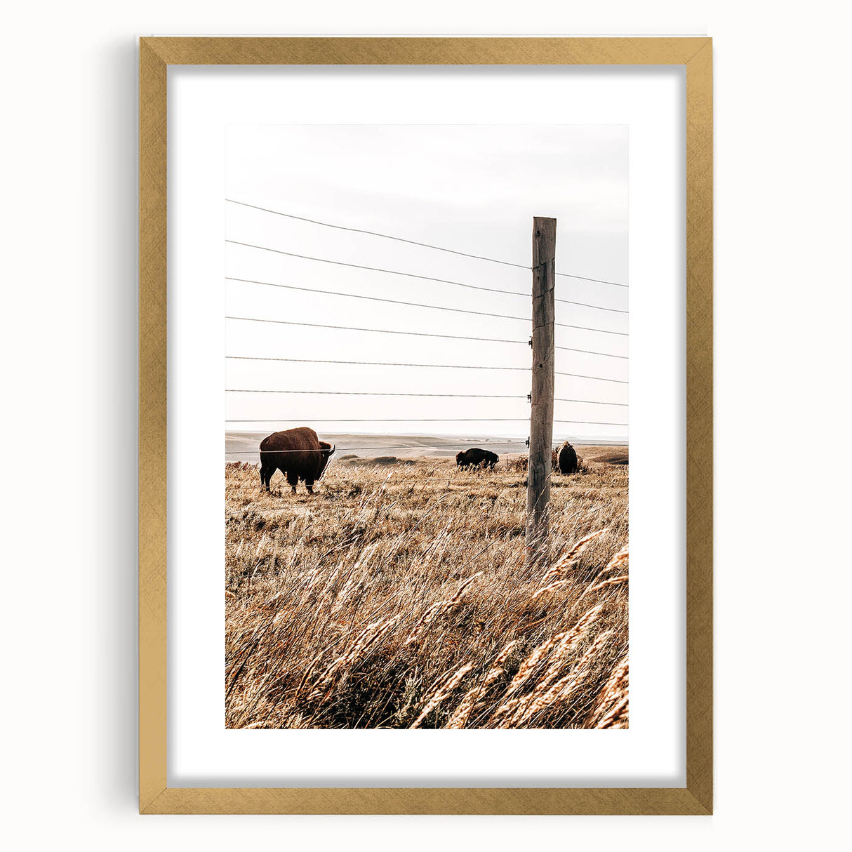 Rustic Farmhouse Buffalo Grazing Wall Art - Country Style Decor