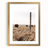 Rustic Farmhouse Buffalo Grazing Wall Art - Country Style Decor