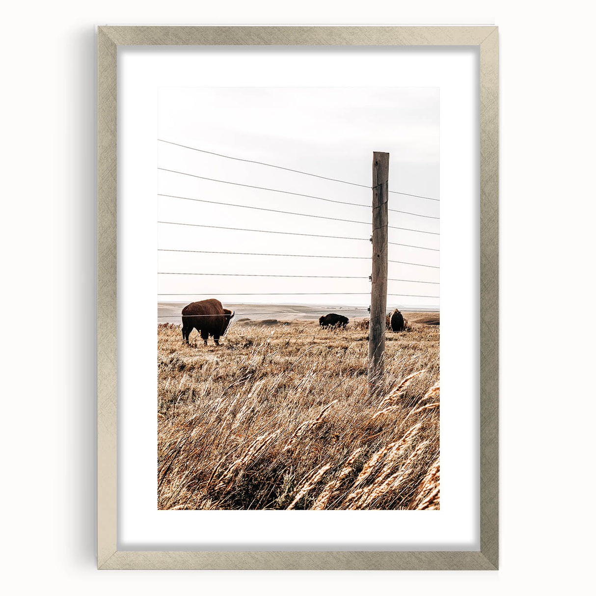Rustic Farmhouse Buffalo Grazing Wall Art - Country Style Decor