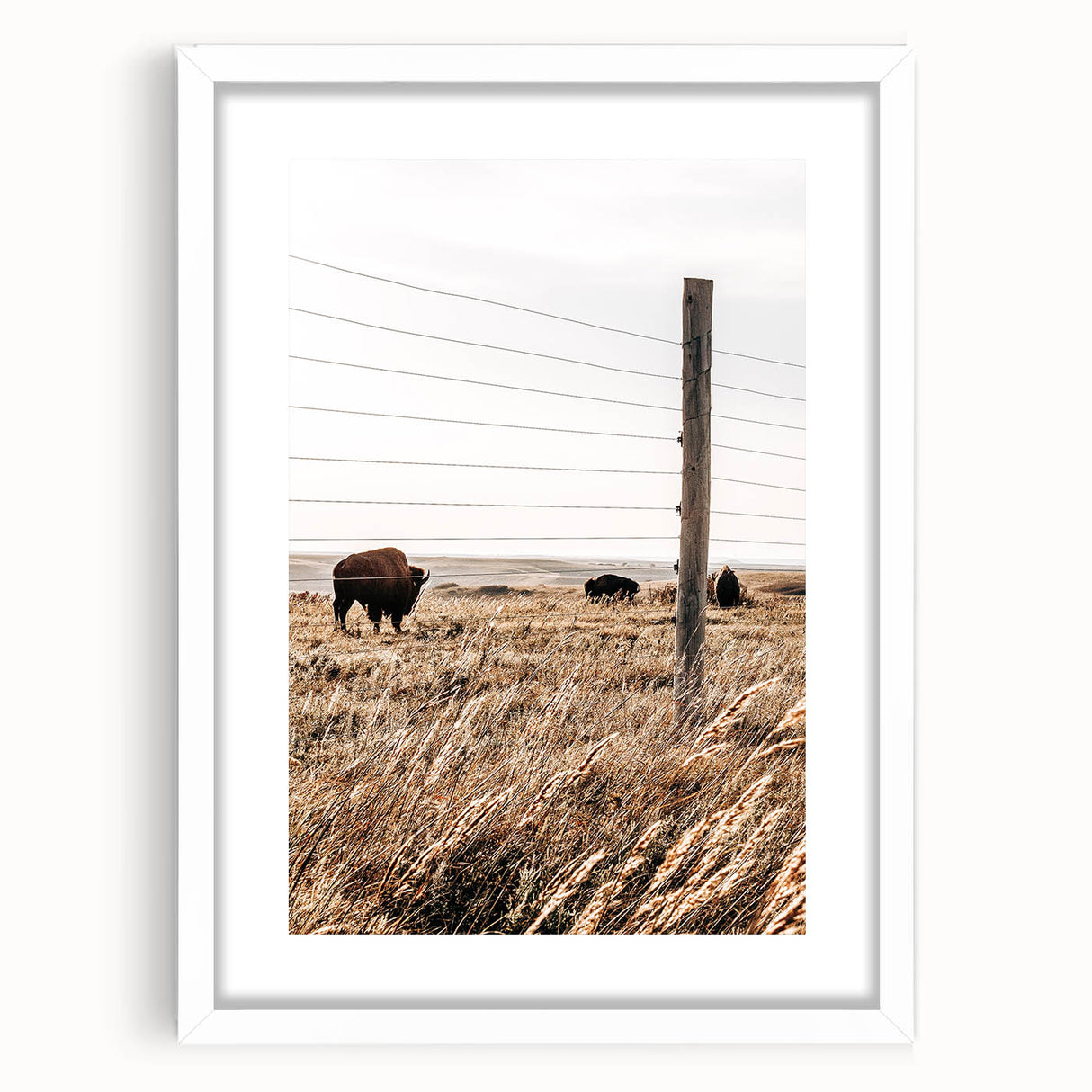 Rustic Farmhouse Buffalo Grazing Wall Art - Country Style Decor