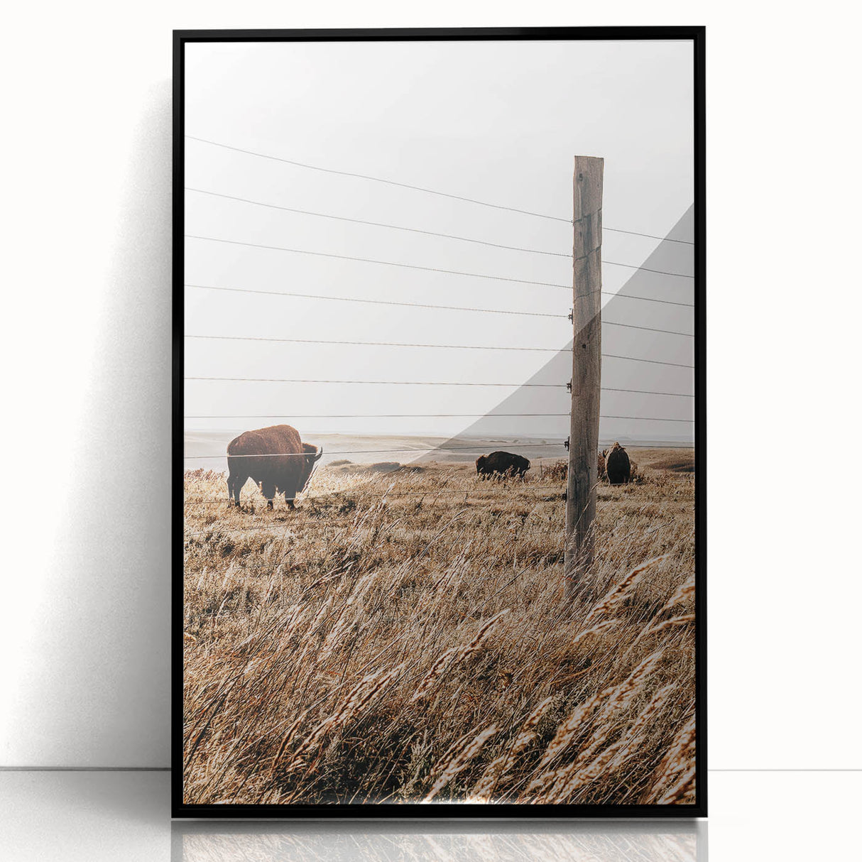 Rustic Farmhouse Buffalo Grazing Wall Art - Country Style Decor