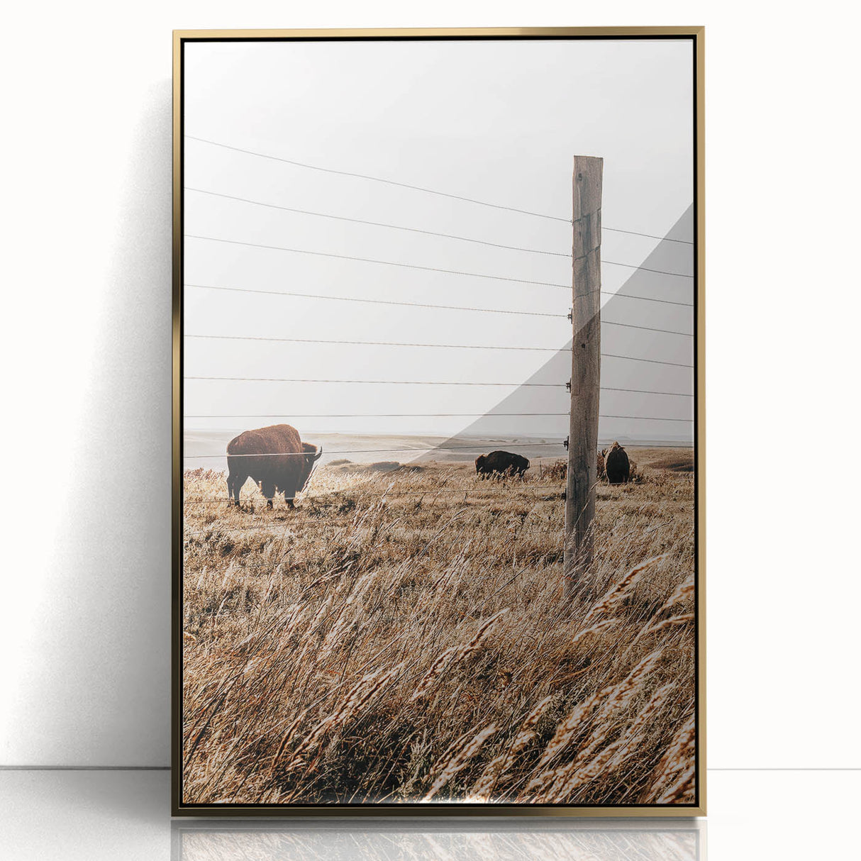 Rustic Farmhouse Buffalo Grazing Wall Art - Country Style Decor