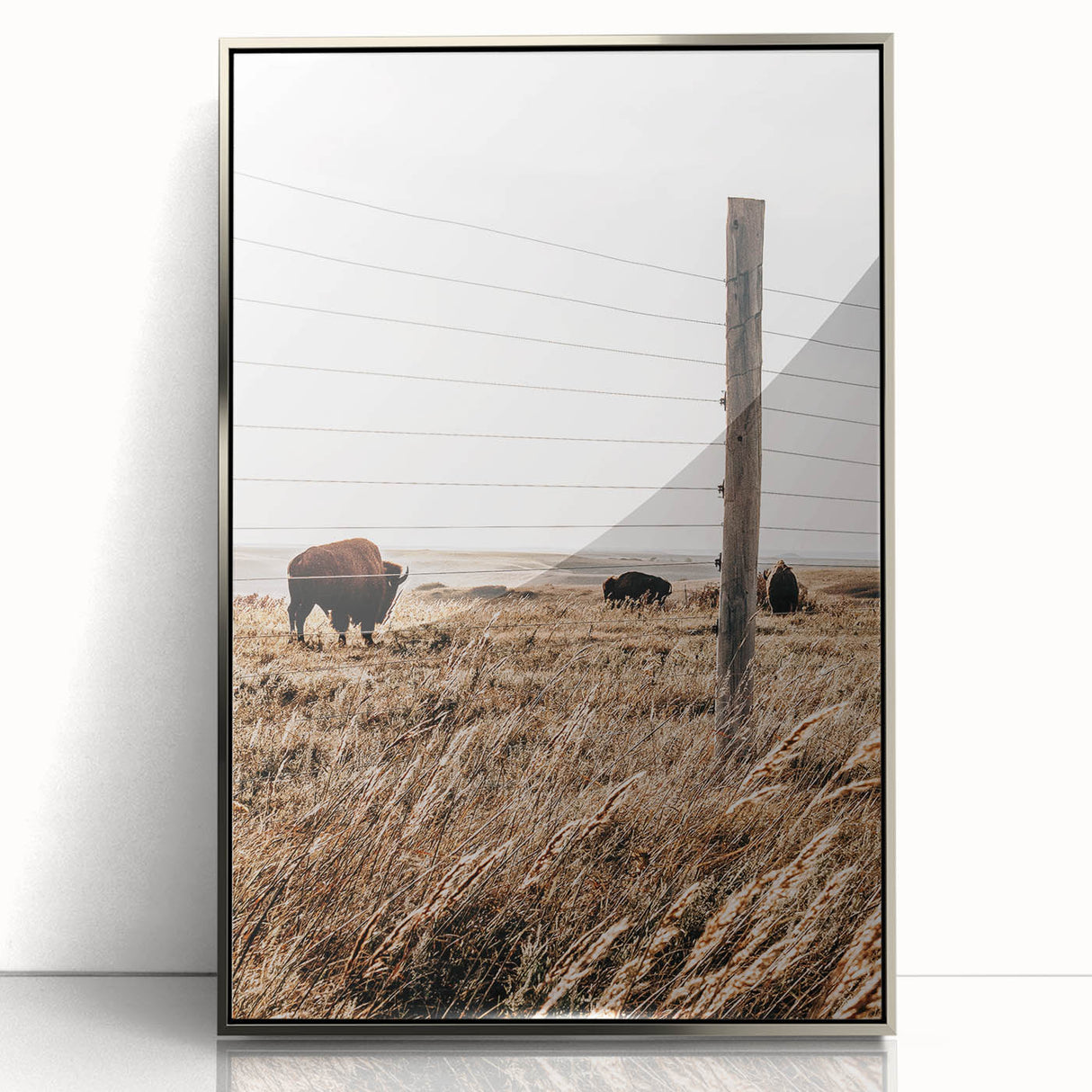 Rustic Farmhouse Buffalo Grazing Wall Art - Country Style Decor