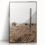Rustic Farmhouse Buffalo Grazing Wall Art - Country Style Decor
