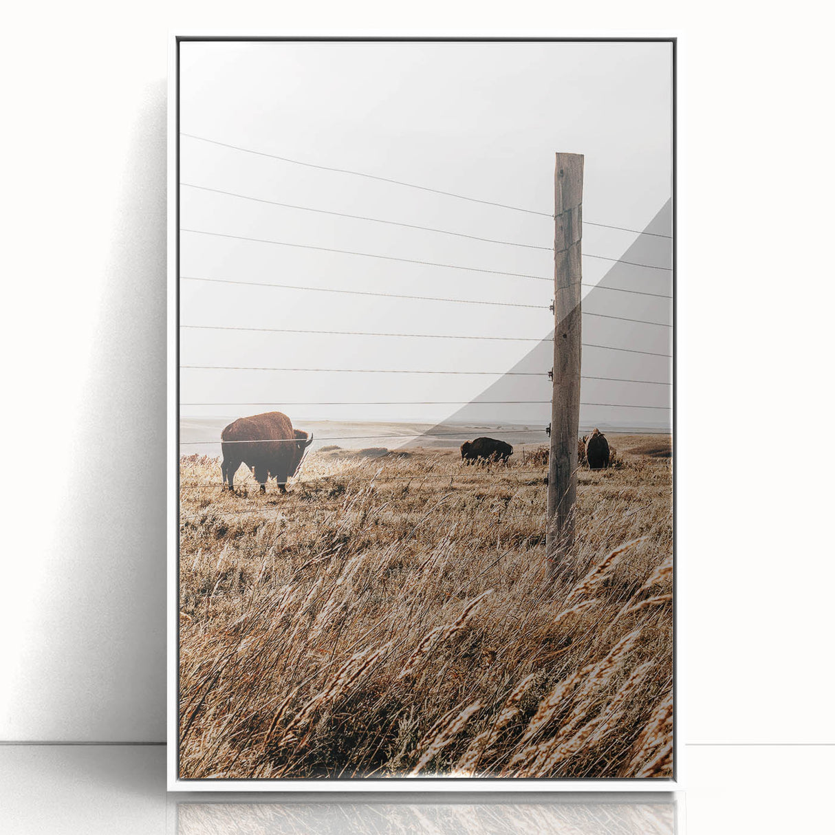 Rustic Farmhouse Buffalo Grazing Wall Art - Country Style Decor