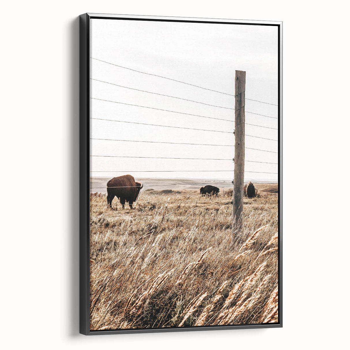 Rustic Farmhouse Buffalo Grazing Wall Art - Country Style Decor