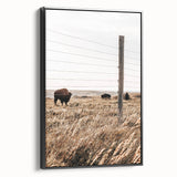 Rustic Farmhouse Buffalo Grazing Wall Art - Country Style Decor