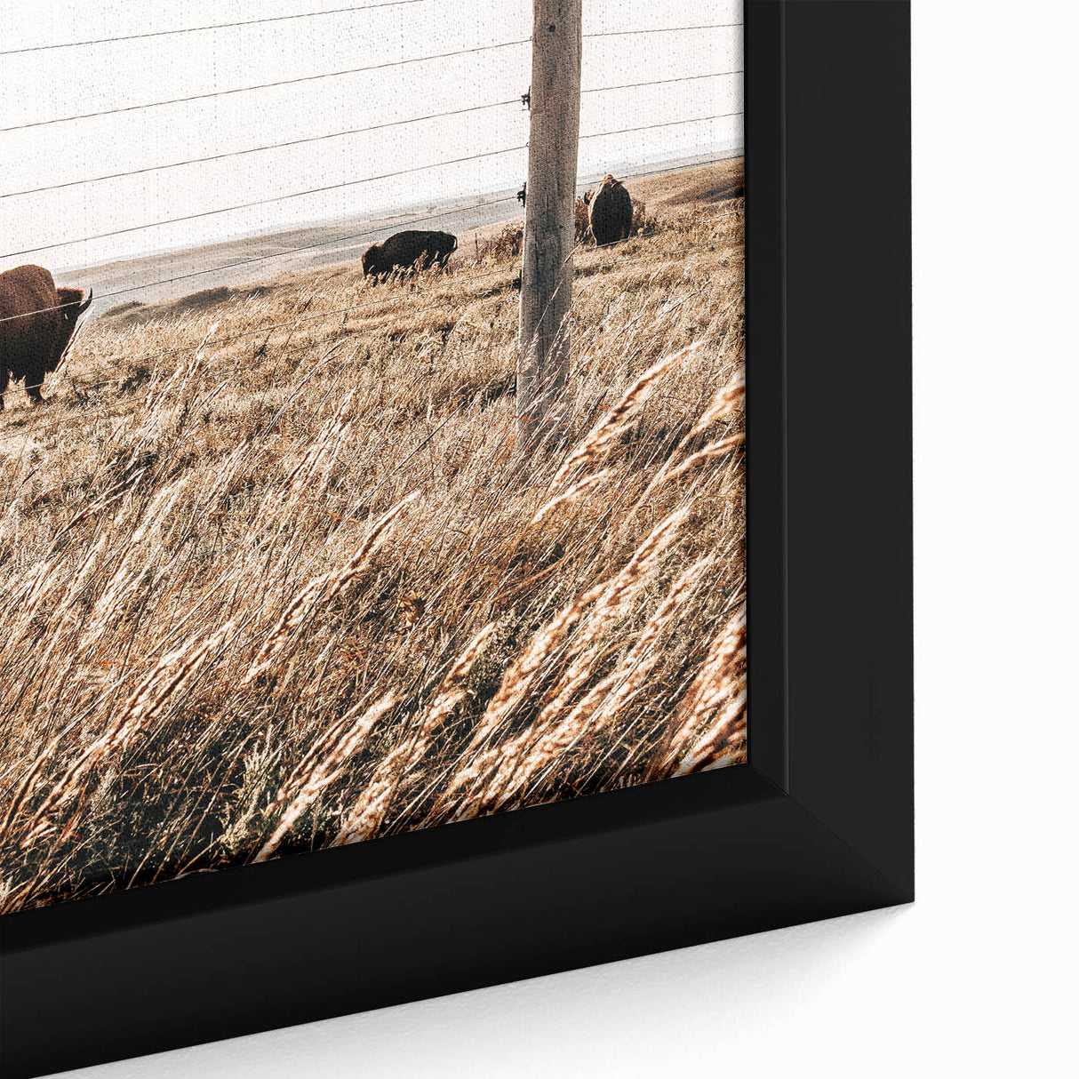 Rustic Farmhouse Buffalo Grazing Wall Art - Country Style Decor