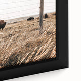 Rustic Farmhouse Buffalo Grazing Wall Art - Country Style Decor