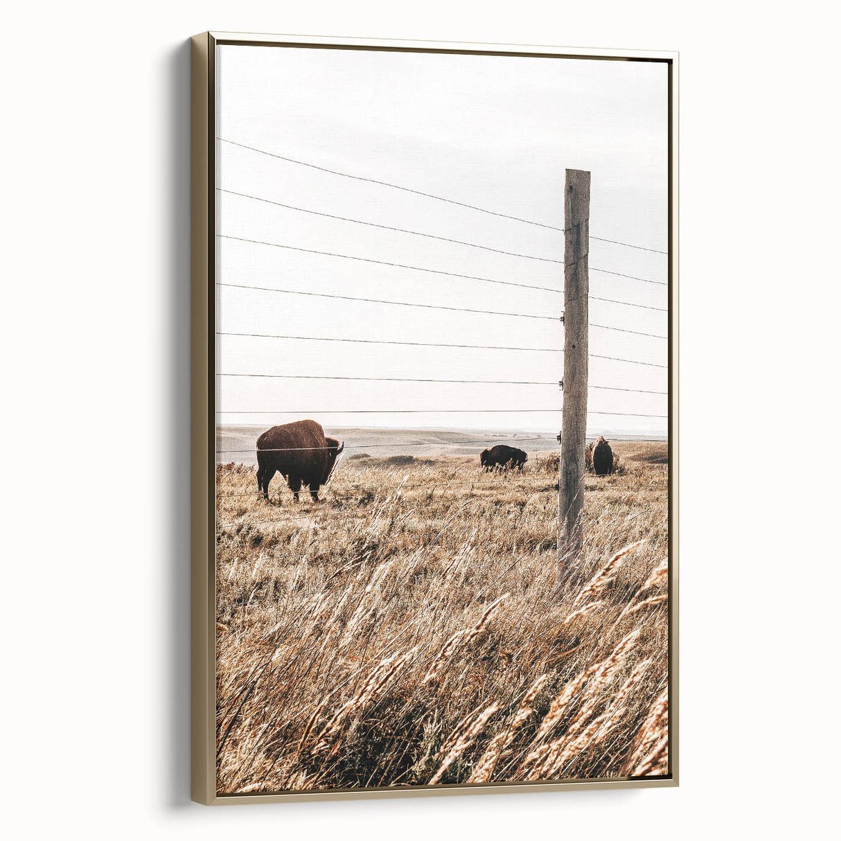 Rustic Farmhouse Buffalo Grazing Wall Art - Country Style Decor