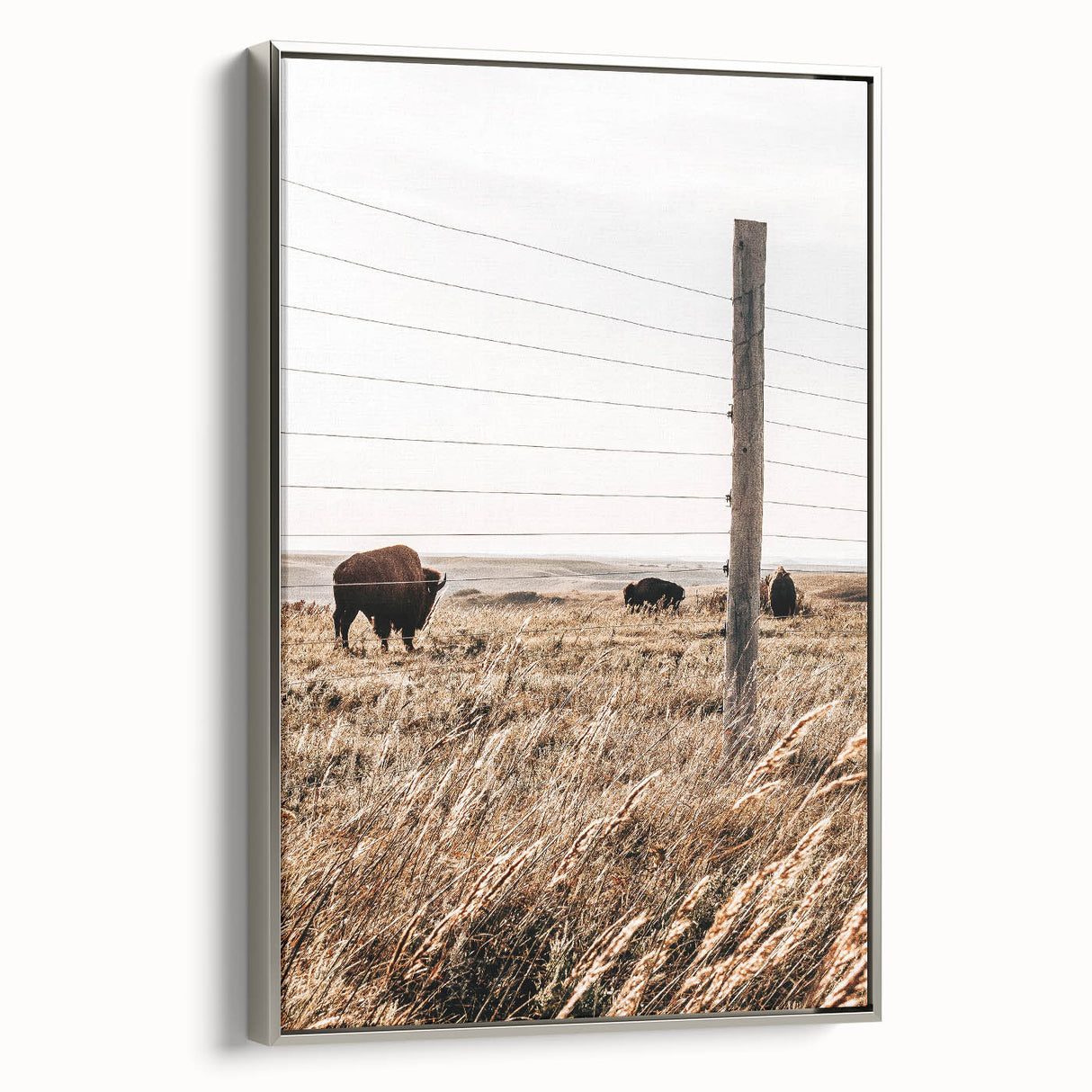 Rustic Farmhouse Buffalo Grazing Wall Art - Country Style Decor