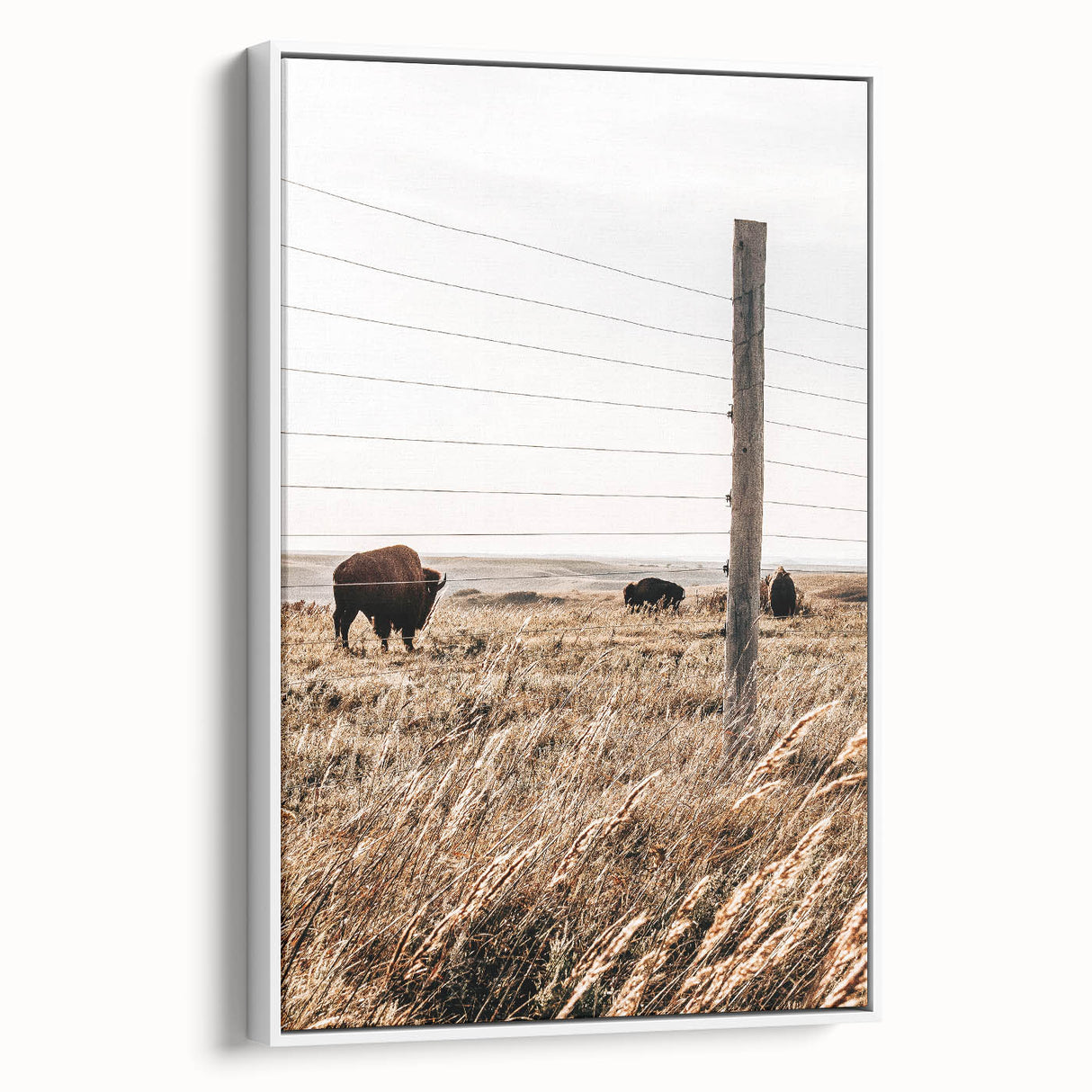 Rustic Farmhouse Buffalo Grazing Wall Art - Country Style Decor
