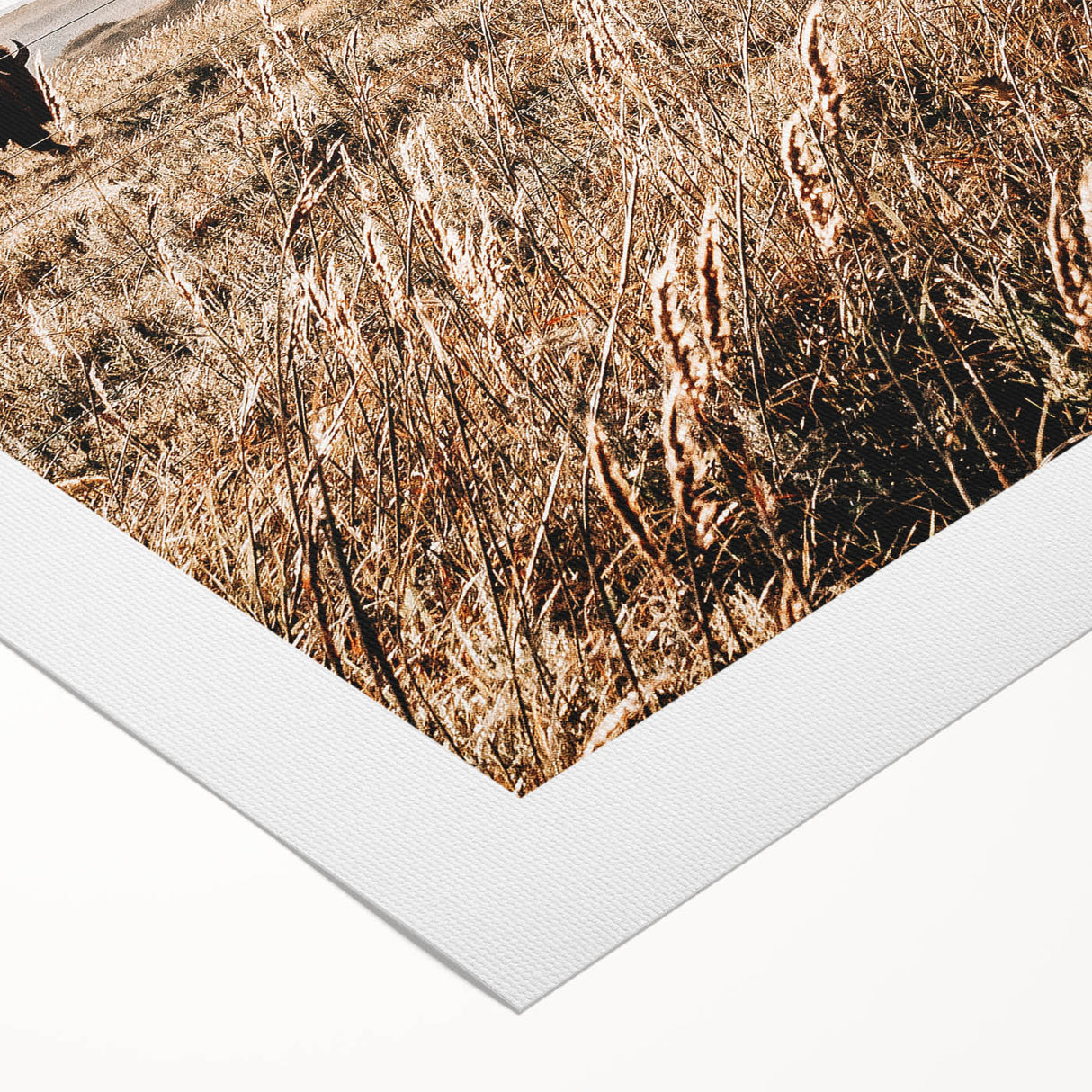 Rustic Farmhouse Buffalo Grazing Wall Art - Country Style Decor