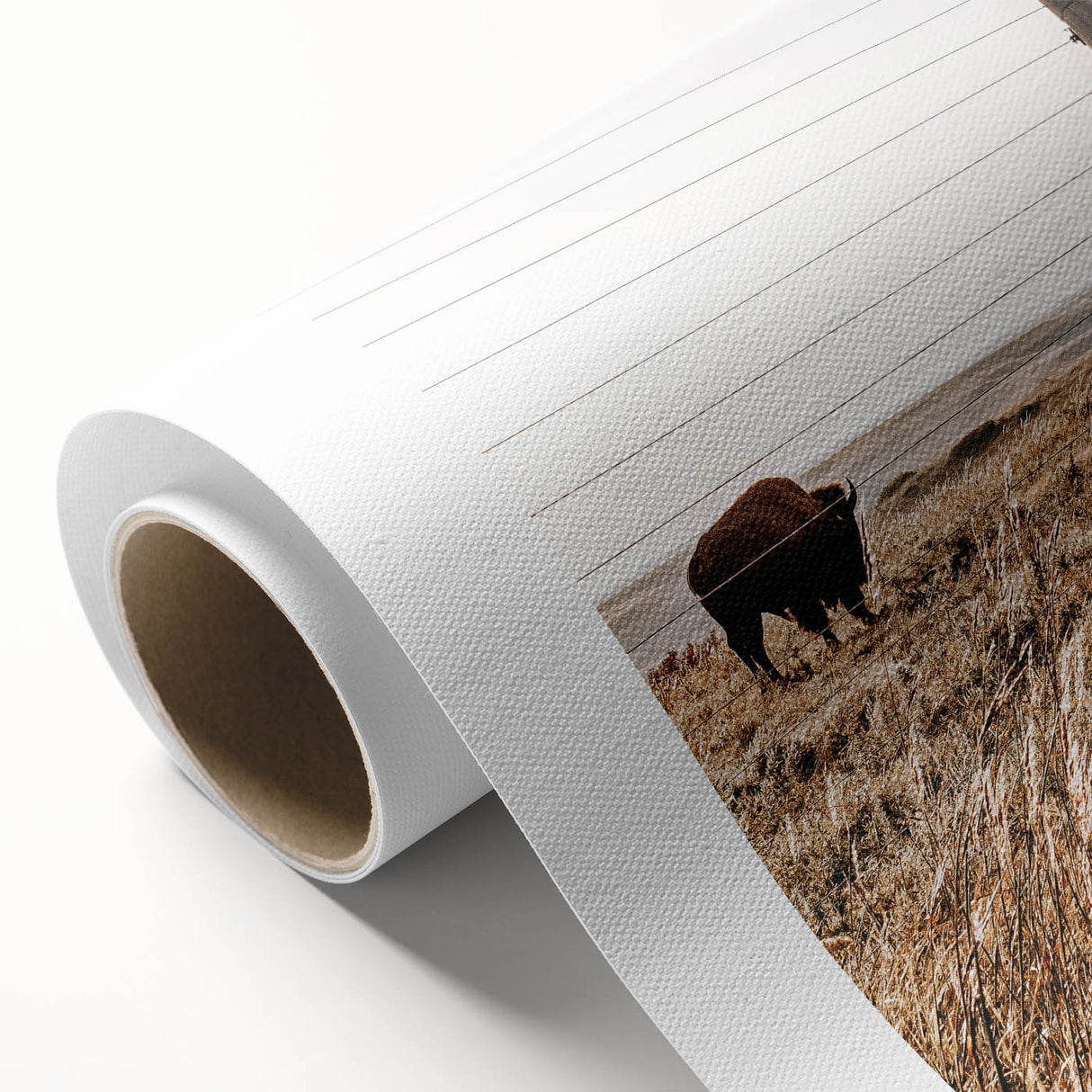 Rustic Farmhouse Buffalo Grazing Wall Art - Country Style Decor