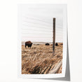 Rustic Farmhouse Buffalo Grazing Wall Art - Country Style Decor
