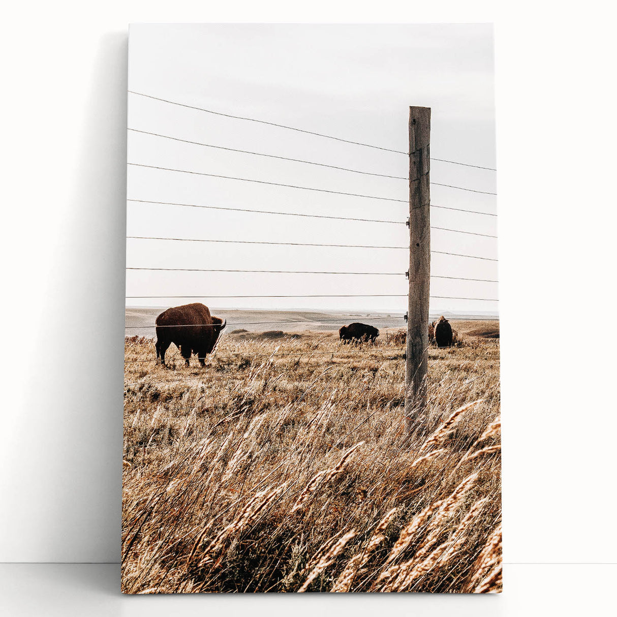 Rustic Farmhouse Buffalo Grazing Wall Art - Country Style Decor