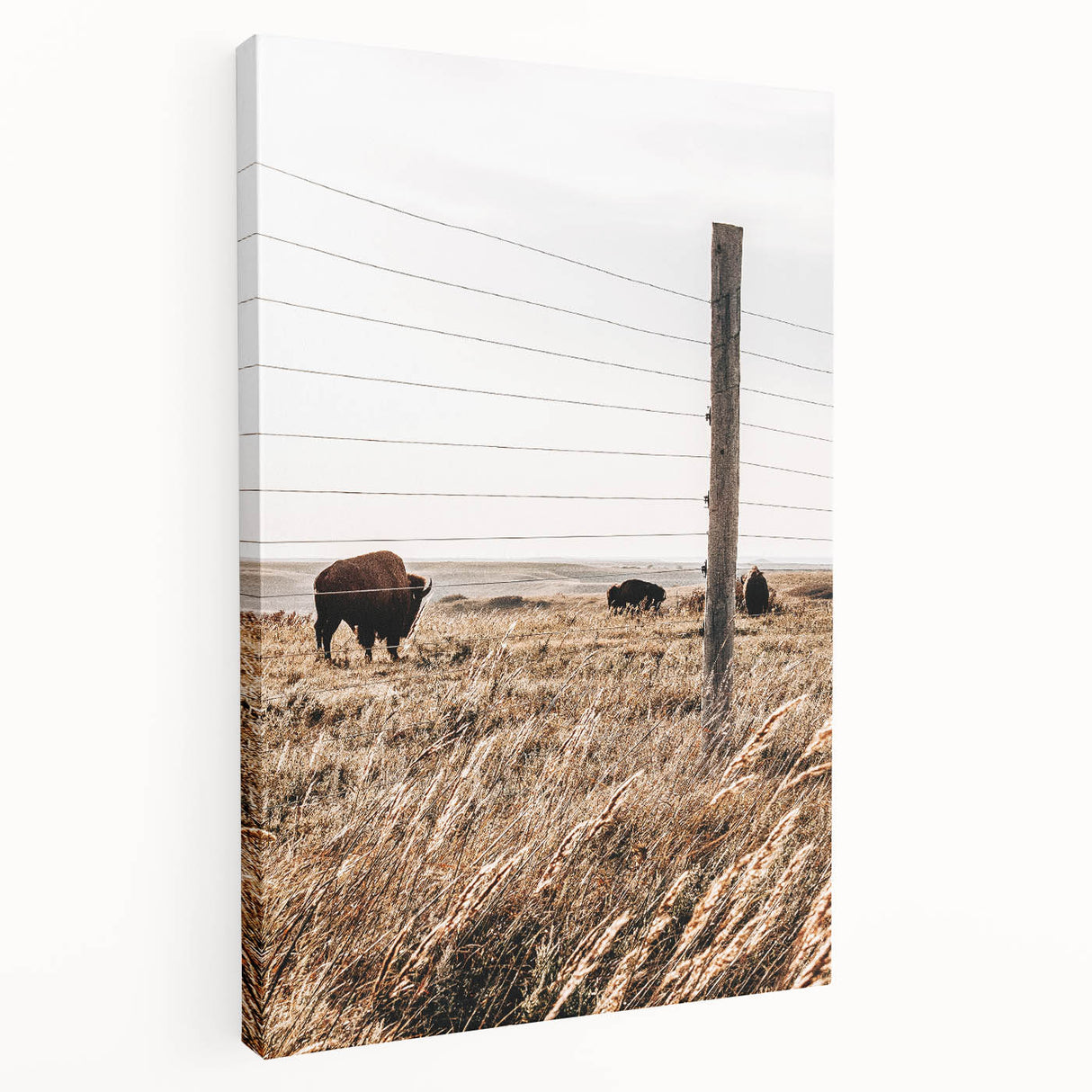 Rustic Farmhouse Buffalo Grazing Wall Art - Country Style Decor