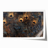 Glamorous Peacock Feather Wall Art – Luxury Black and Gold Decor