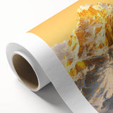 Golden Radiance Mountain Canvas Art – Snow-Capped Peak in Glowing Sunset