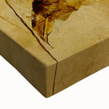 Glam Wall Art - Elegant White Flowers on Gold Background in Modern Style