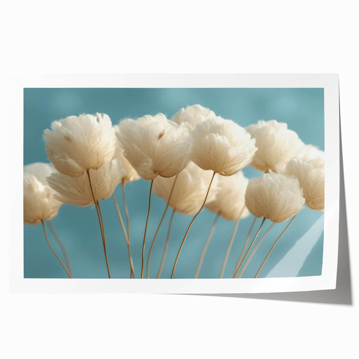Delicate White Blossoms - Soft Floral Wall Art in Light Blue and White