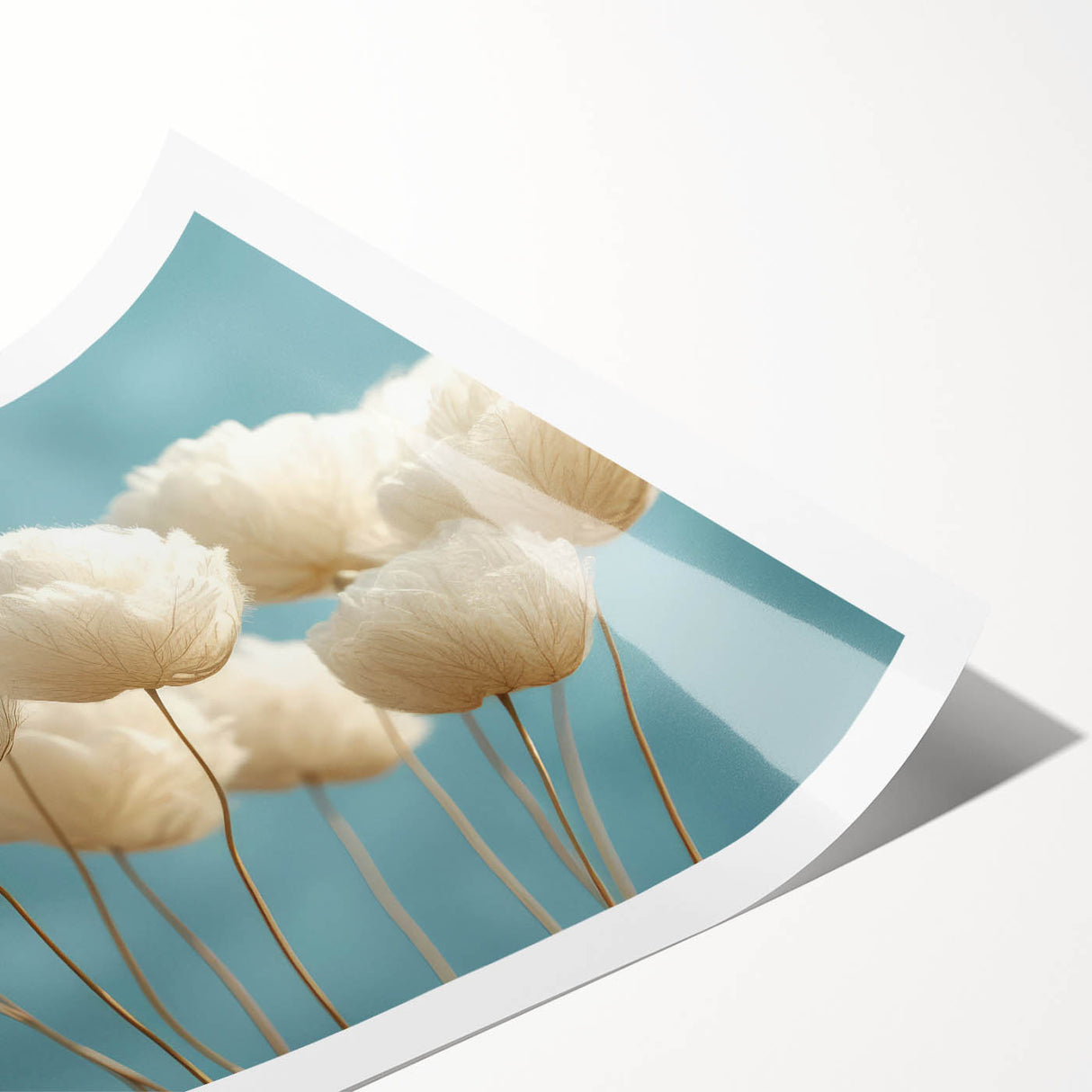 Delicate White Blossoms - Soft Floral Wall Art in Light Blue and White